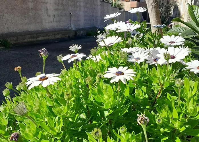 Da Caterina Apartament *